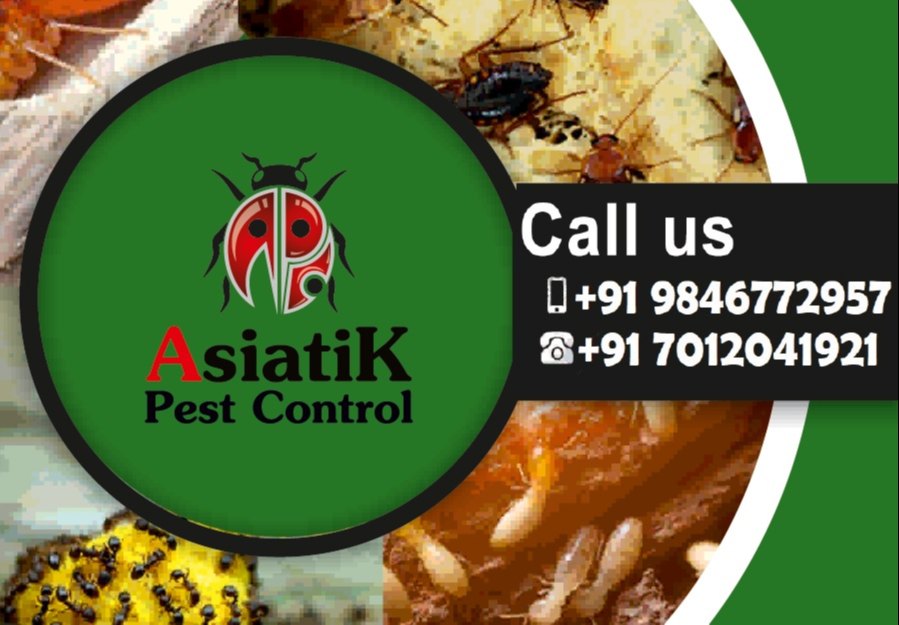 Yearly Residential Pest Management, in KERALA