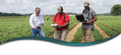 Integrated Pest Management Service