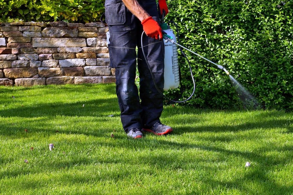 Spray Garden Pest Control Service
