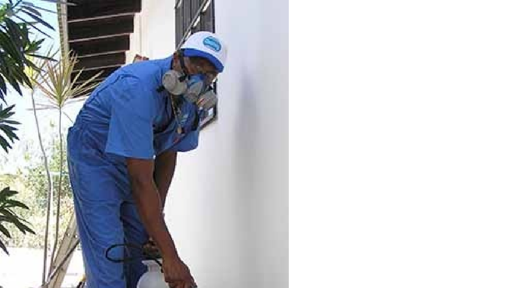 Monthly Residential Garden Pest Control Services, in Delhi