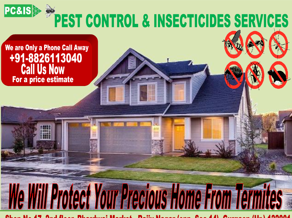 Rodent Home Pest Control Services