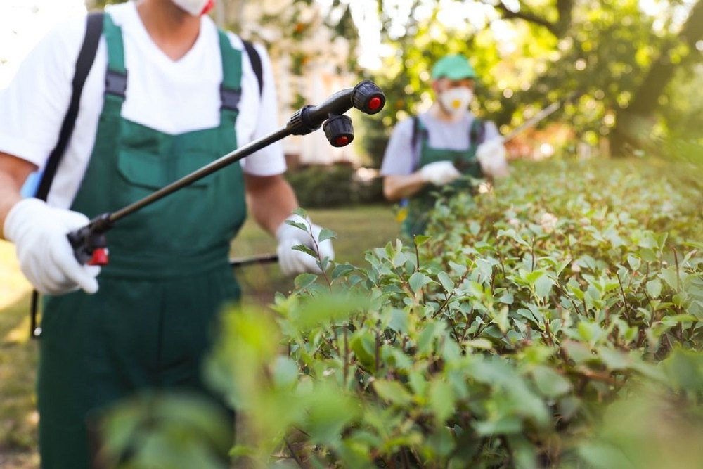 Commercial Chemical based Garden Pest Control Service
