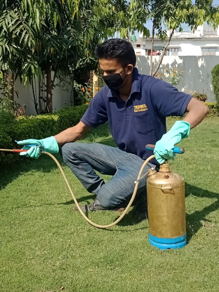 Cockroach Commercial General pest control services
