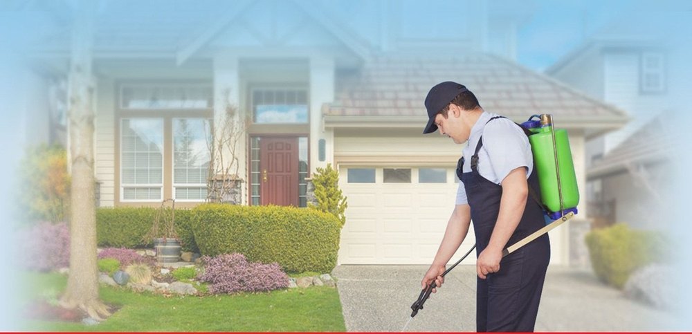 Gardens Pest Control Services