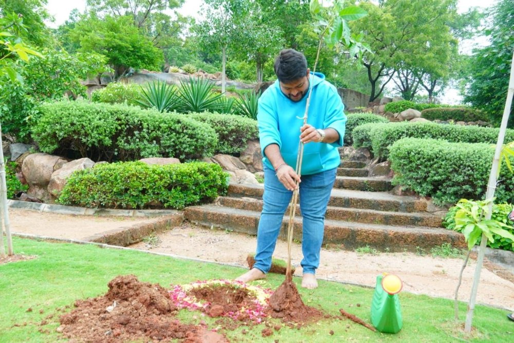 Mexican Garden Mali Service, Assam, Coverage Area: 1000 to 3000 Square Feet
