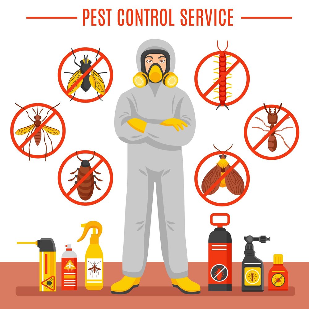 Cockroach Commercial Gardens Pest Control Services