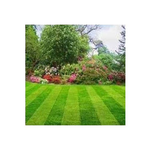 Garden Treatment Service
