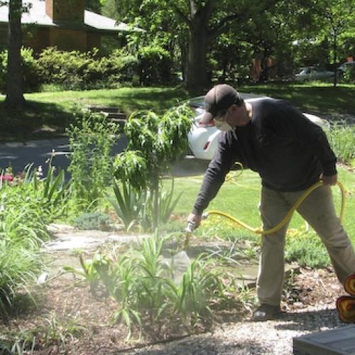 Garden Pest Control Service