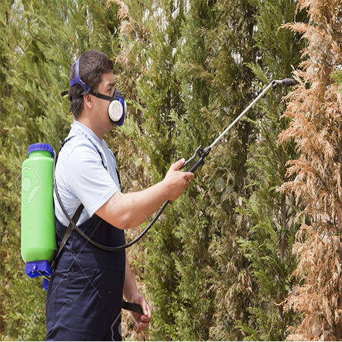 Spray Chemical based Garden Pest Control Service