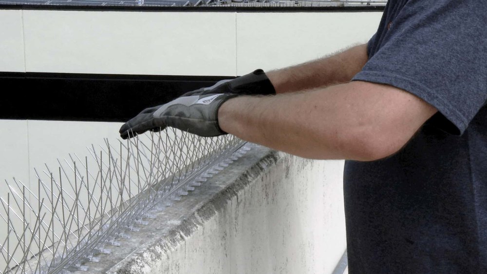 Pigeon Spikes Installation Service