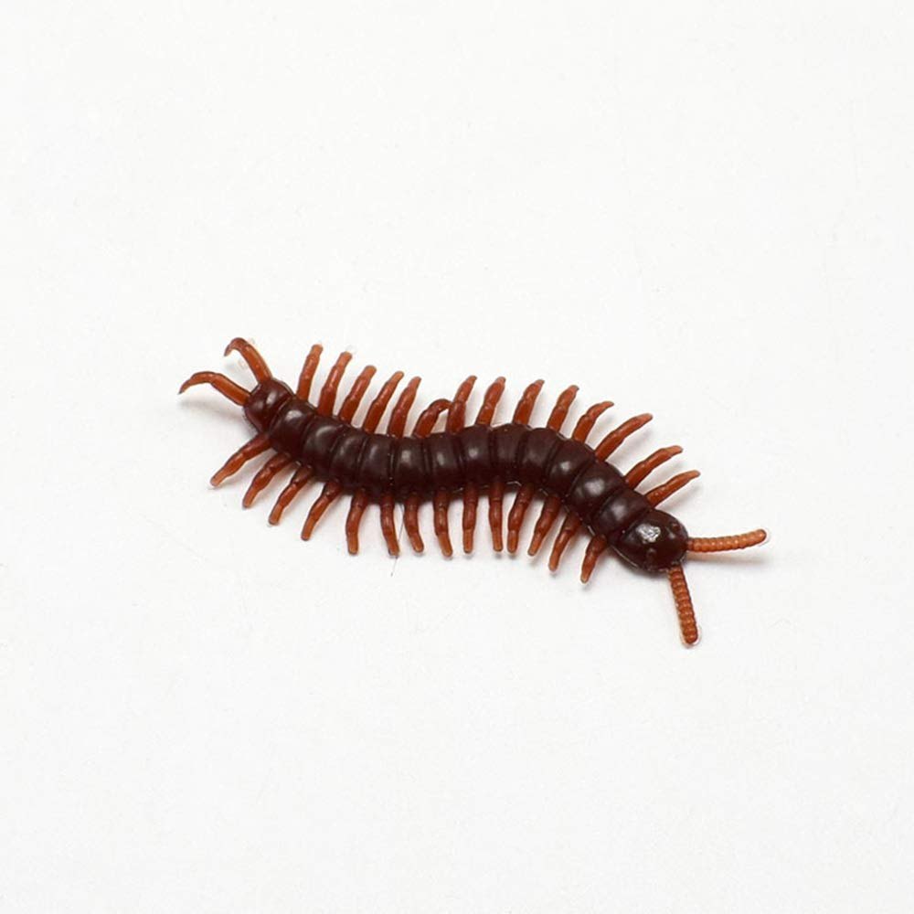 Centipede Control Service