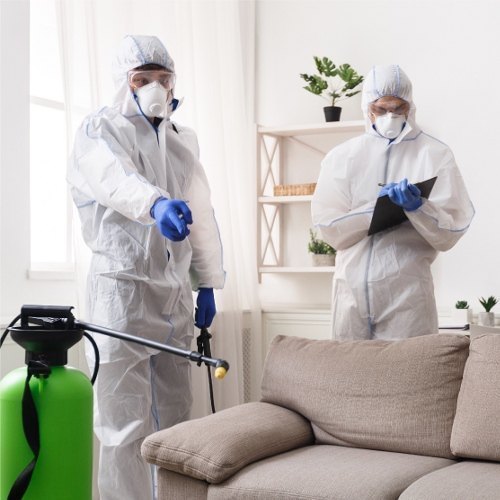 Commercial Chemical based Pest Control Services
