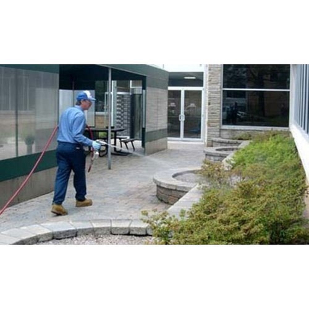Centipede Pest Control Service