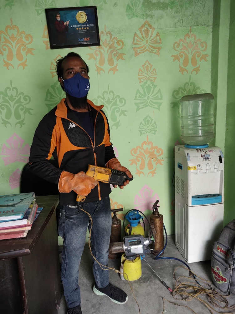 Termite (Deemak Pest)Control In Faridabad, New Delhi, Gurgaon, Noida, Ghaziabad