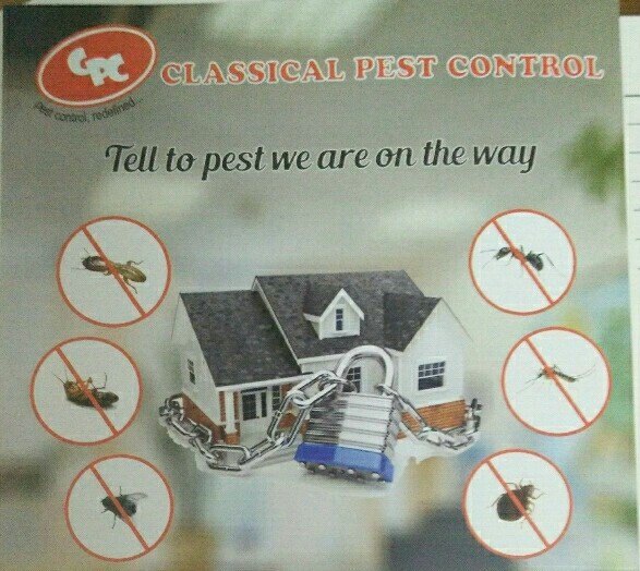 Chemical Based Commercial Pest Control Services