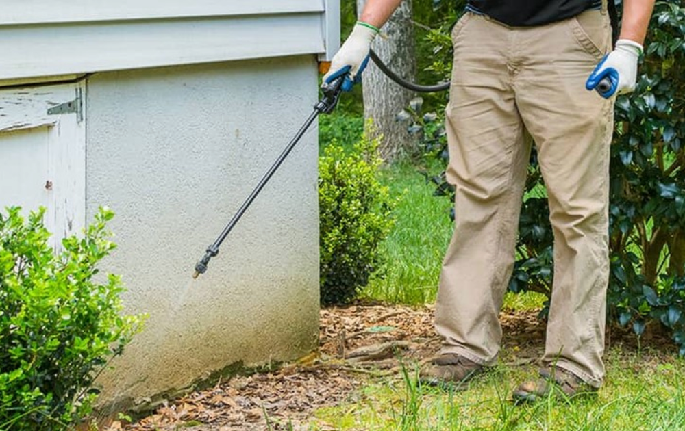 Spray Chemical based Outdoor Pest Control Service