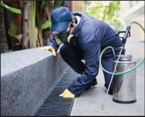 Chemical Treatment Commercial Pest Control Services, in Delhi NCR, Day And Night