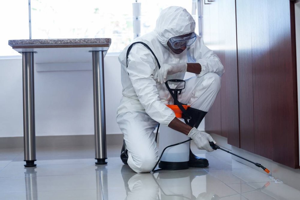 Spray Chemical based Commercial Pest Control
