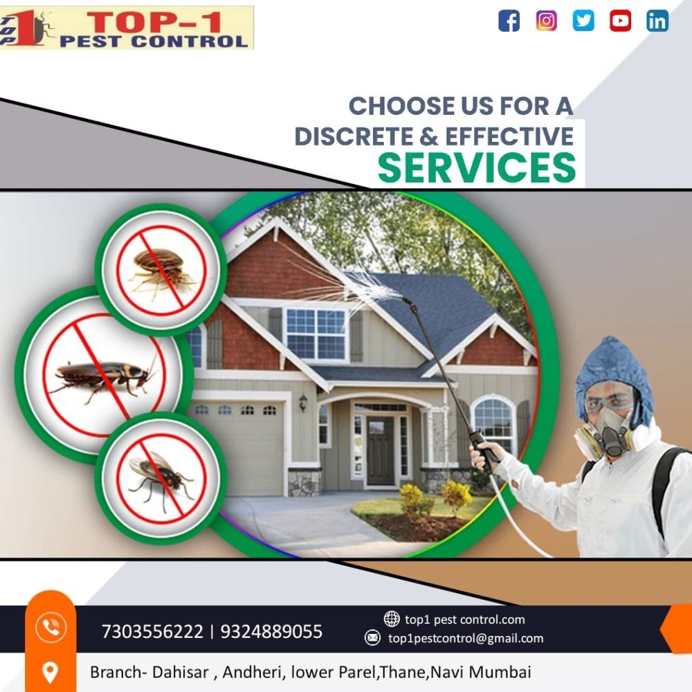 Cockroach Commercial Pest Control Services Gel Treatment