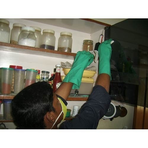 Commercial Spray Pest Control Gel Treatment Service