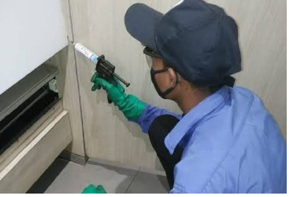 Pest Control Gel Treatment Services