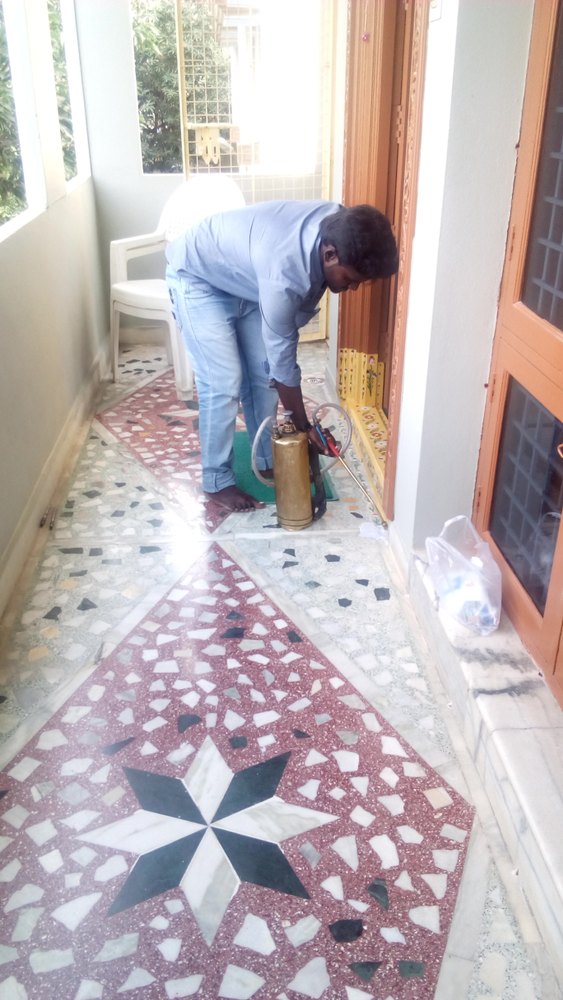 Indoor Pest Control Services