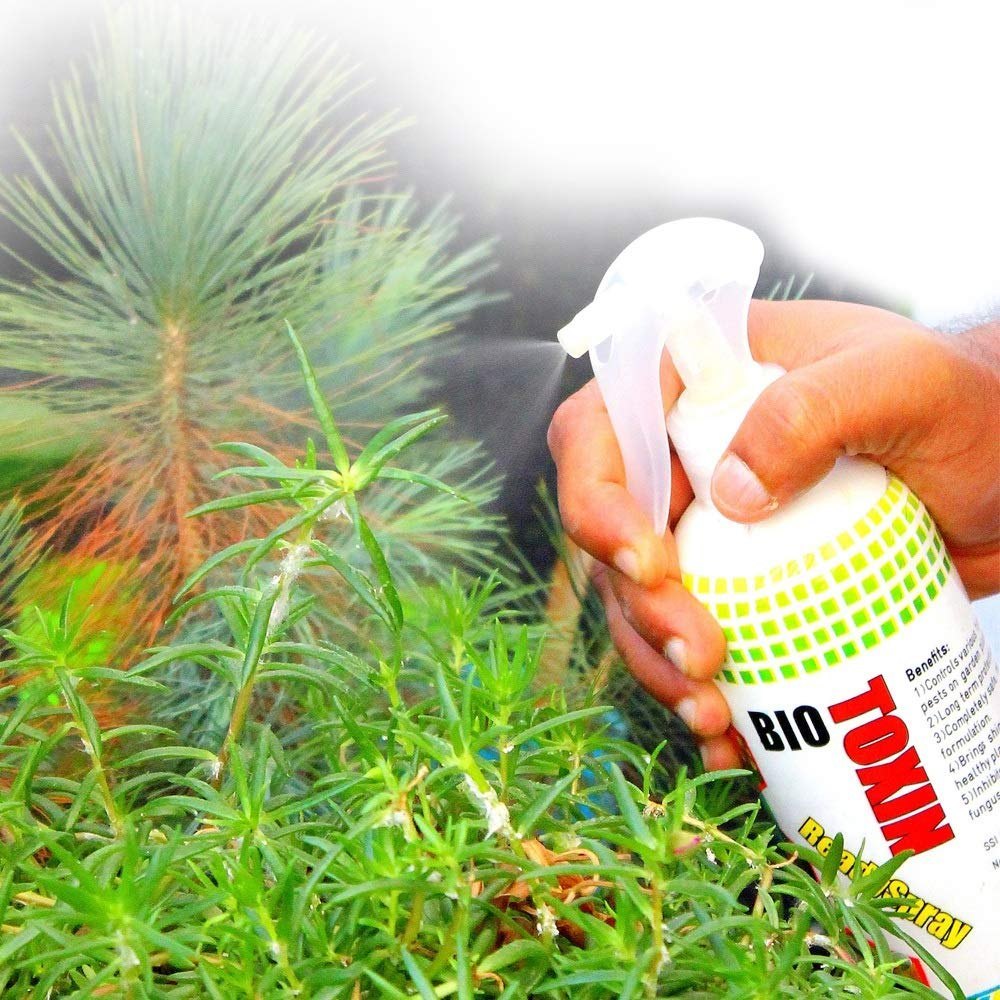 Commercial Chemical Treatment Biological Pest Control Service