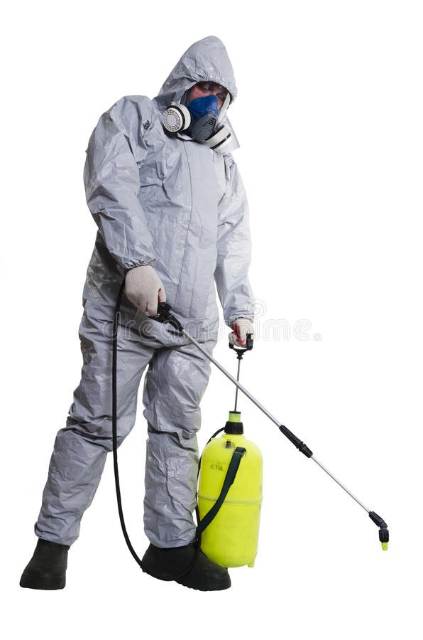Fleas Pest Control Service
