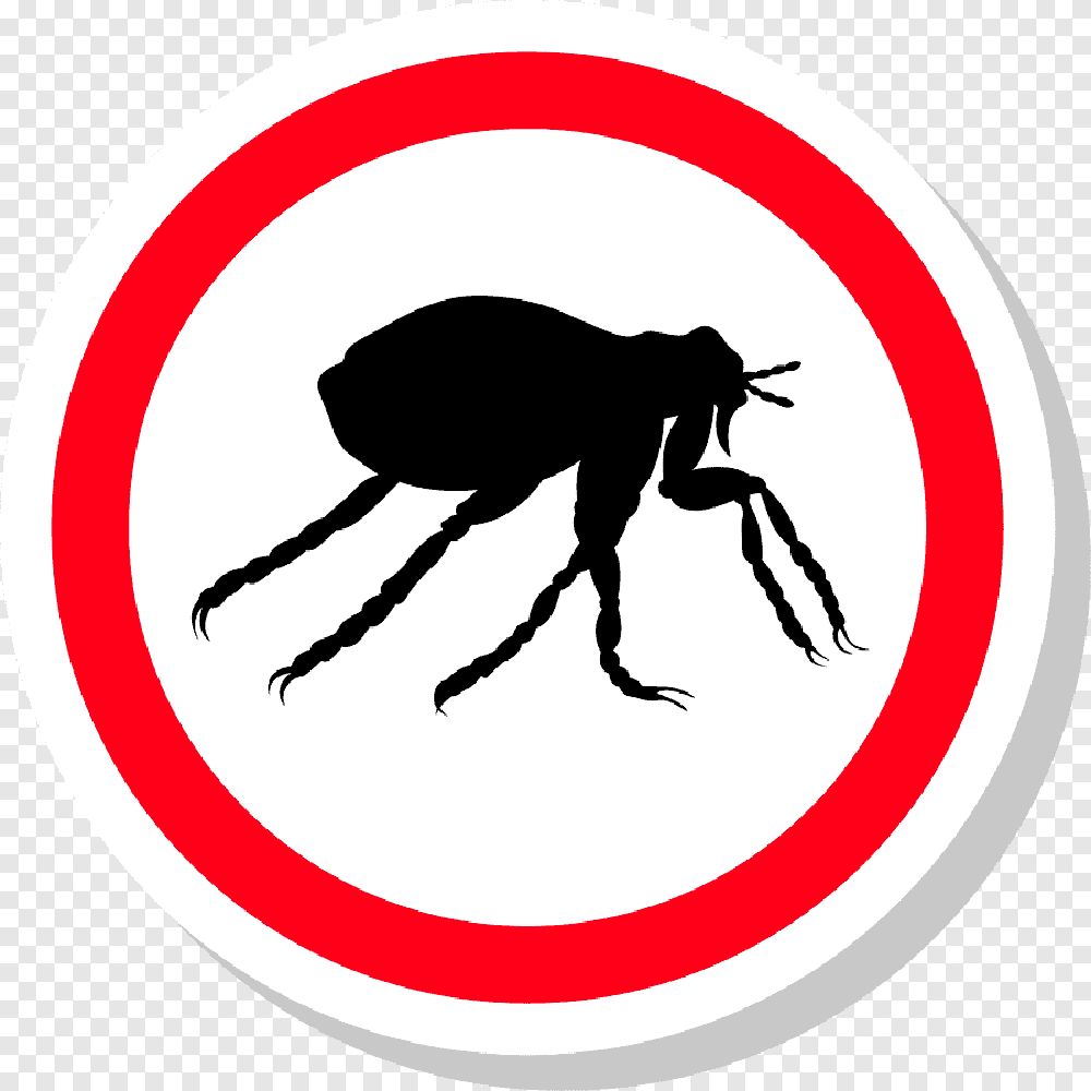 Flea Control Service