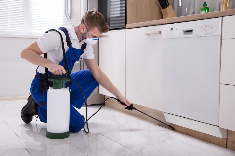 Pests Home Residential Pest Control Services