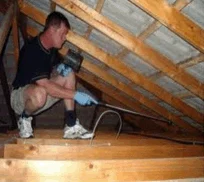 Termites (White Ants) Pest Control