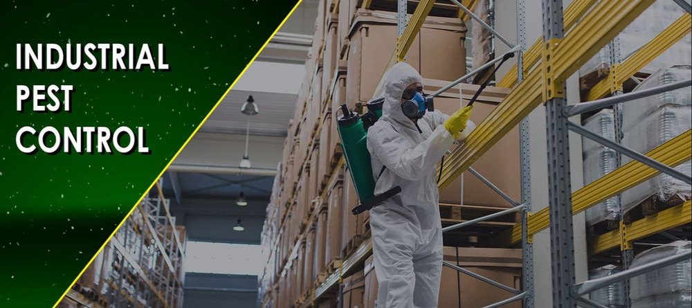 Fume-based Treatment Chemical based Industrial Pest Control