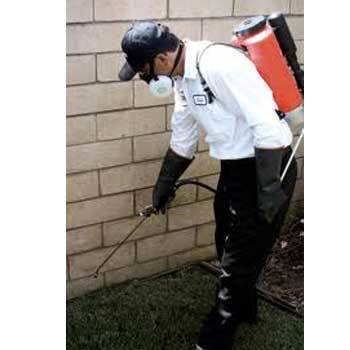 Pest Control Treatment