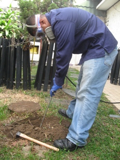 Garden Soil Treatment Services