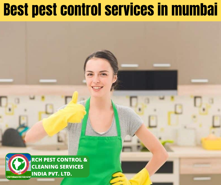 Home Spray Best Pest Control Services In Mumbai