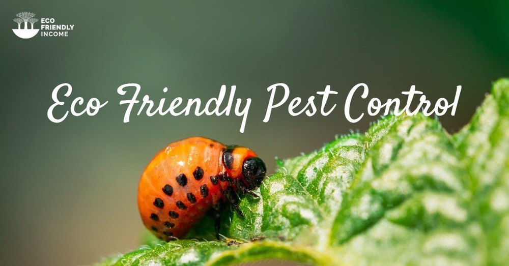 Home Spray Eco Friendly Pest Control