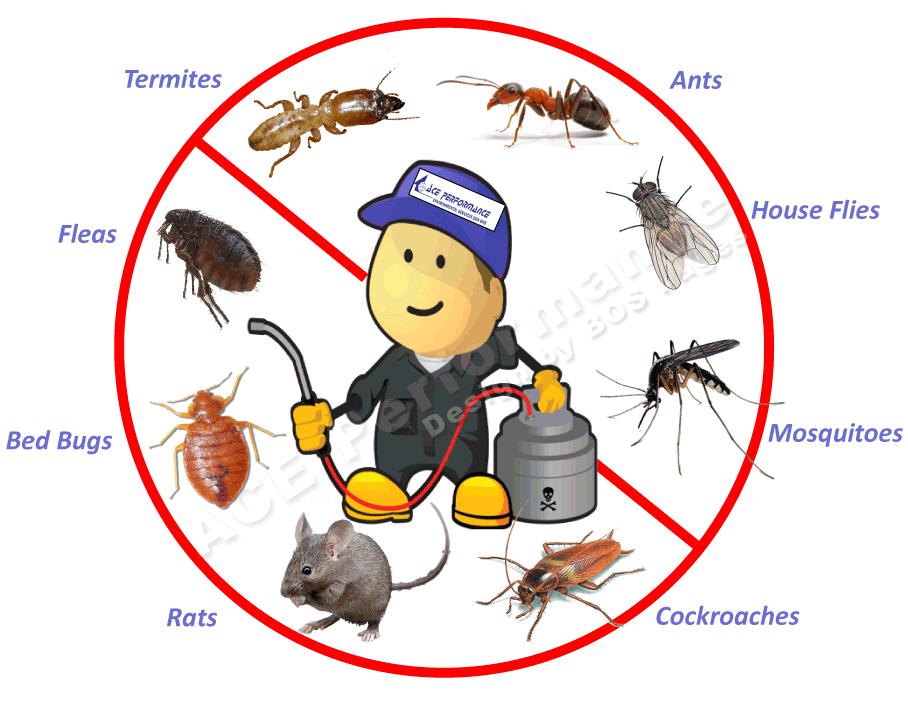 Pest Control liquid