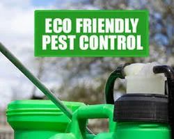 Eco Friendly Pest Control Services