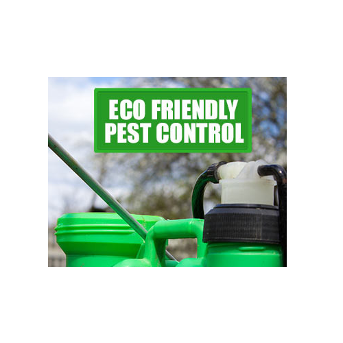 Eco Friendly Pest Control Services