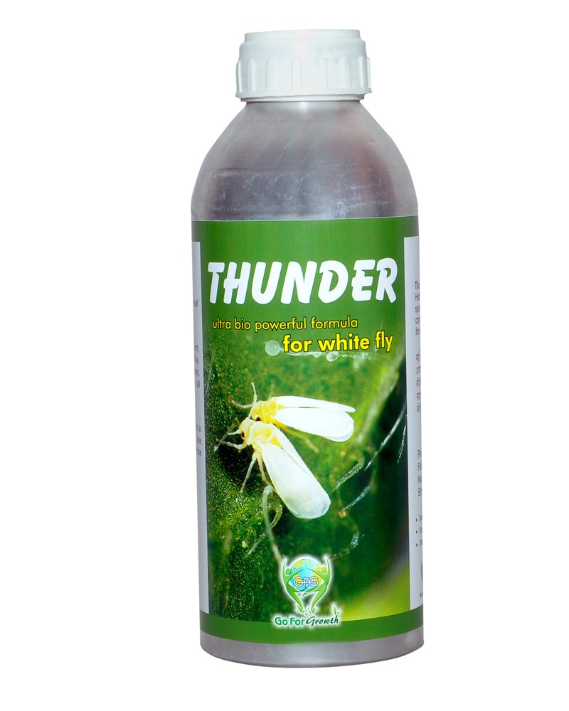 Eco Friendly Pest Control