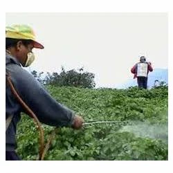 Max Herbal Pest Control Treatment