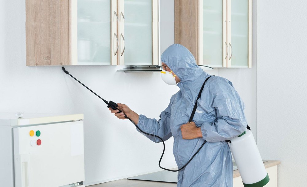 Rodent Spray Pest Control Services For Gardens