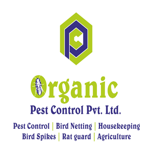 Wasp Control Services