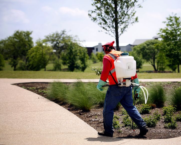 Weed Control Services