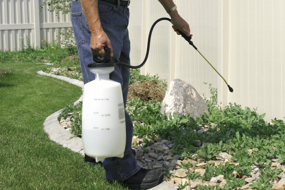 Weed Control Services