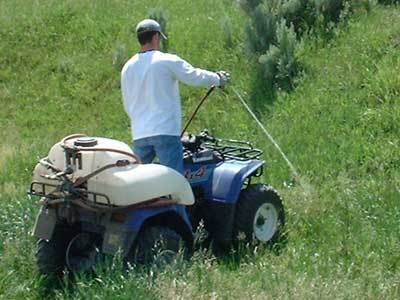 Weed Pest Control Service