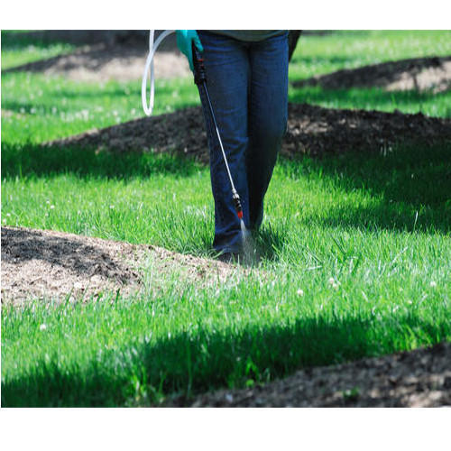 Weed Control Service