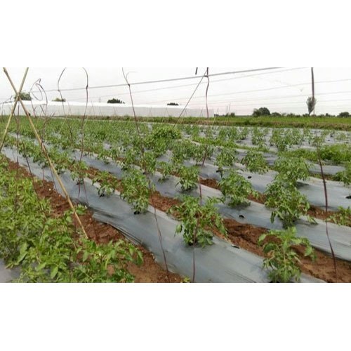 7 Days Organic Farming Consultancy Service, Pan India