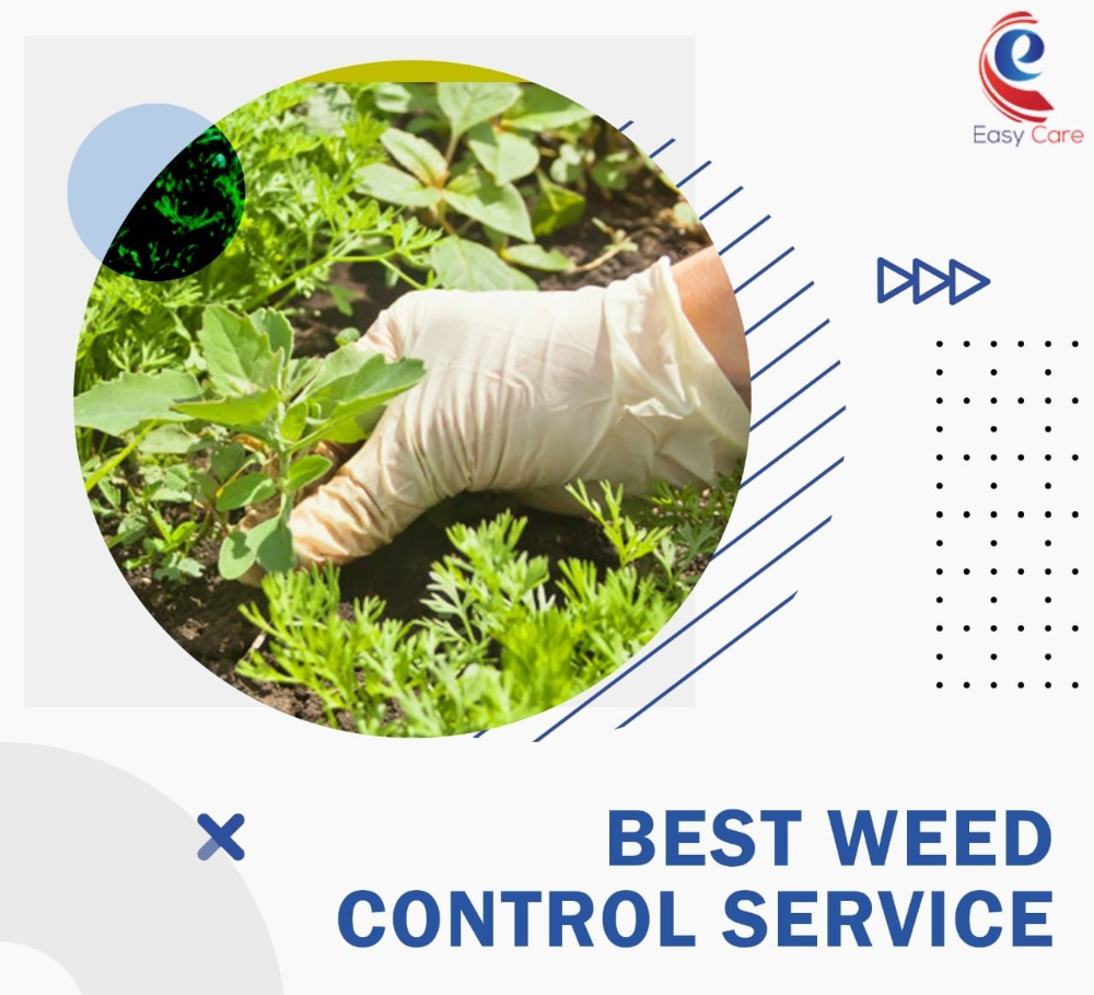 Weed Control Services