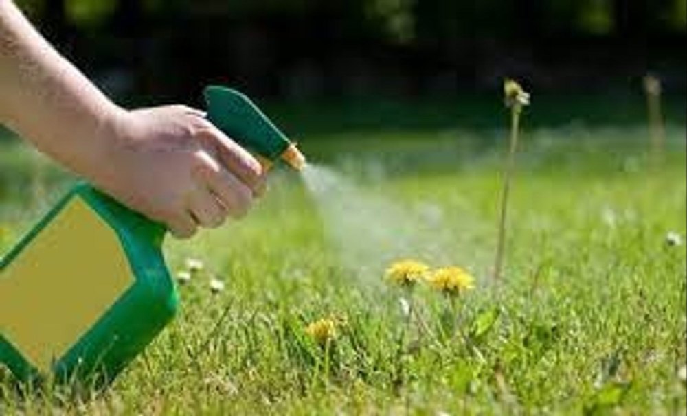 Weed Control Service
